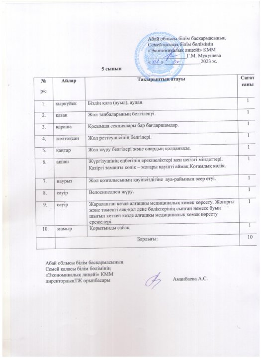 Жолда жүру ережесінің бағдарламасы